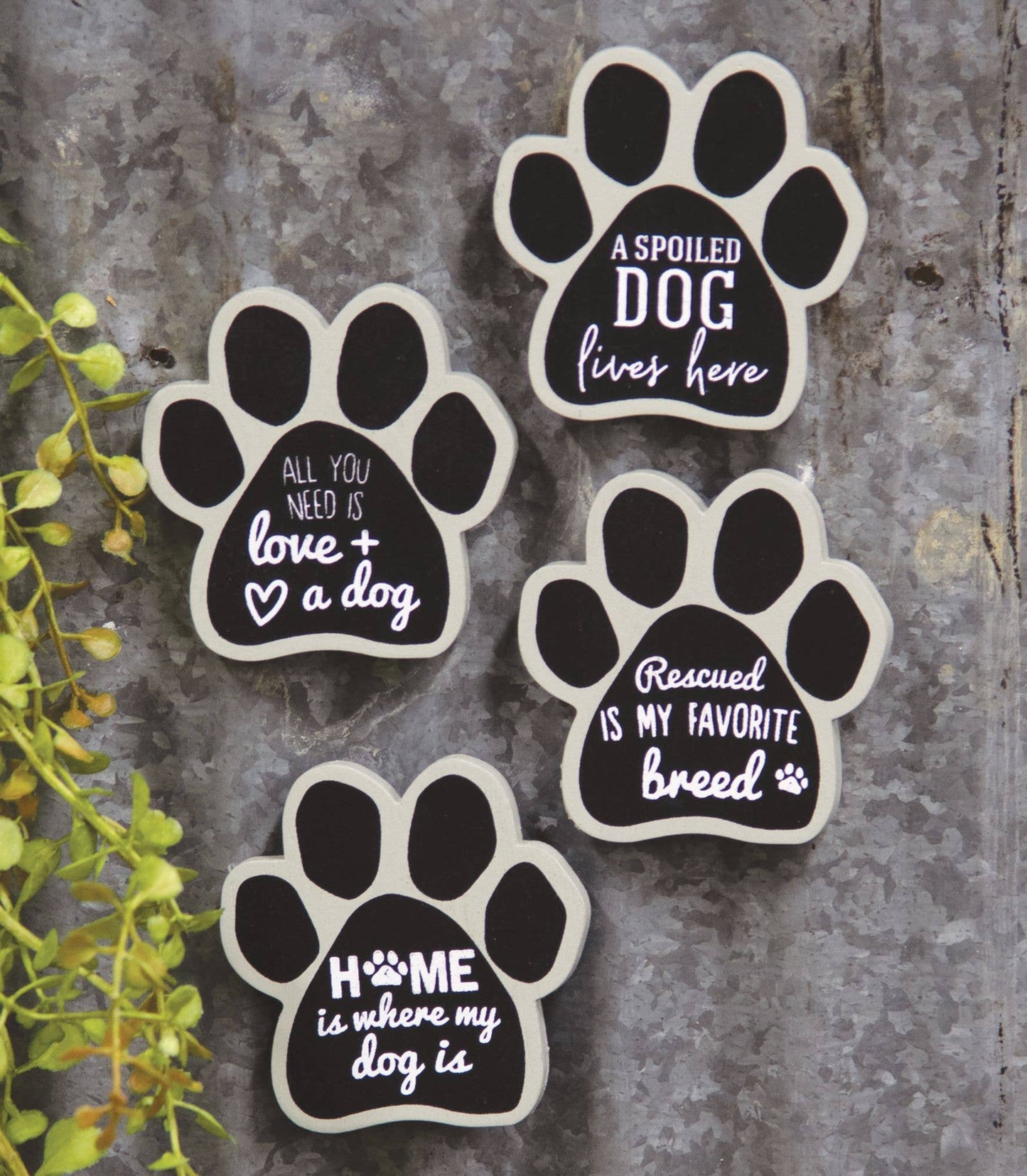 Dog Paw Magnets - Set of 4