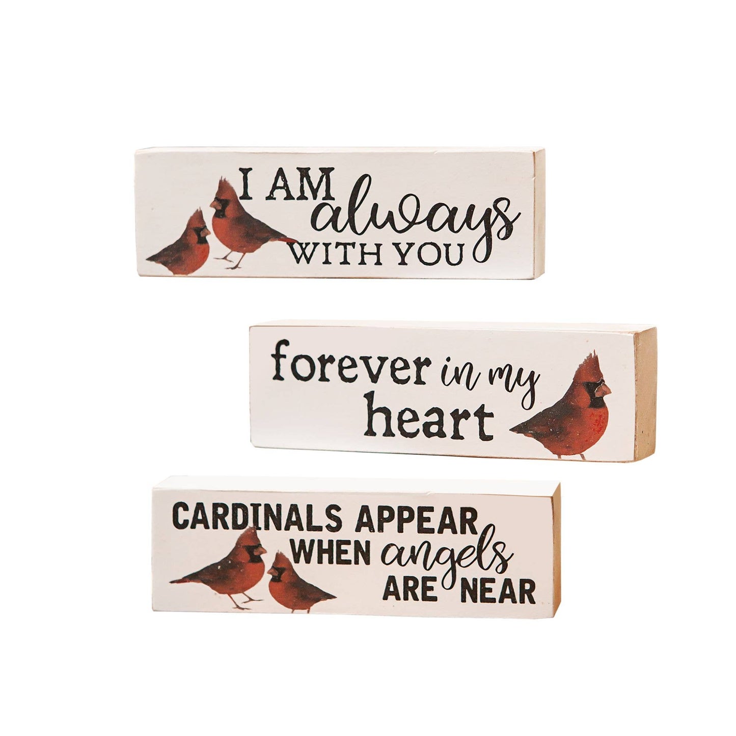 Set/3 Always With You Cardinal Blocks